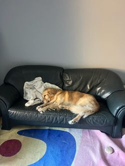 Free couch