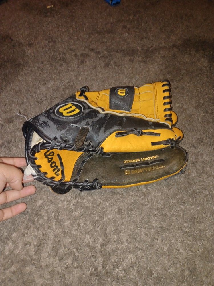 Softball Glove Wilson