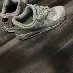 Nike Airmax Gore-Tex Men’s Shoes