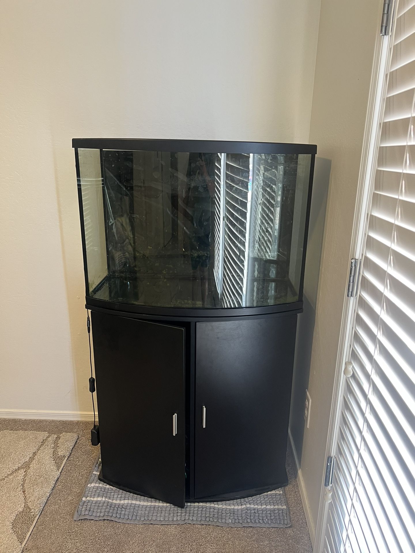 Fish Tank