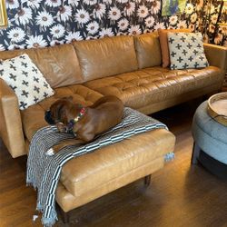 Leather Couch with Chaise- Poly and Bark 