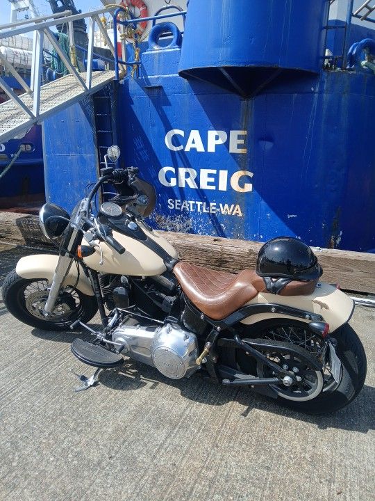 2015 Harley Davidson Soft tail slim