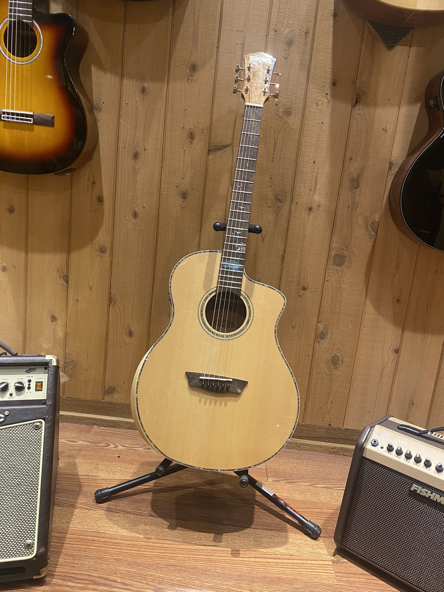Washburn Guitar