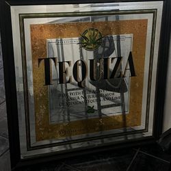 Tequiza Beer Mirror $40