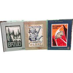 Disney Star Wars Galaxy’s Edge 3 Matted Deluxe Print Set Batuu Rex Falcon