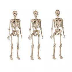 3 PCS 16" Halloween Skeleton Decor, Scary Small Hanging Skull Props