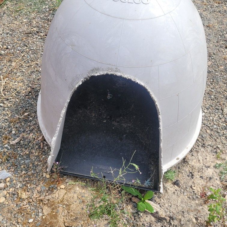 Xl Dog Igloo