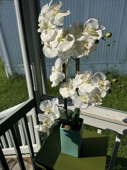Faux Silk Orchid Arrangement in Vase
