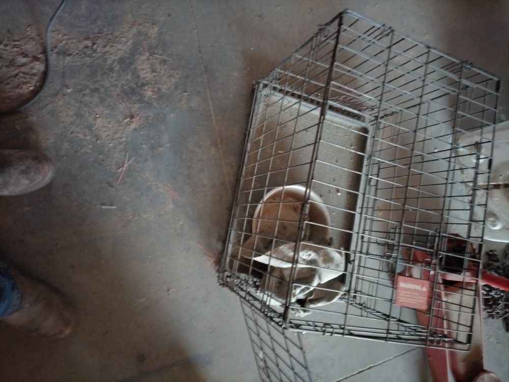 Small Dog Cage