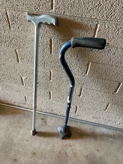 Cane walking cane
