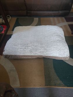 Large dog bed