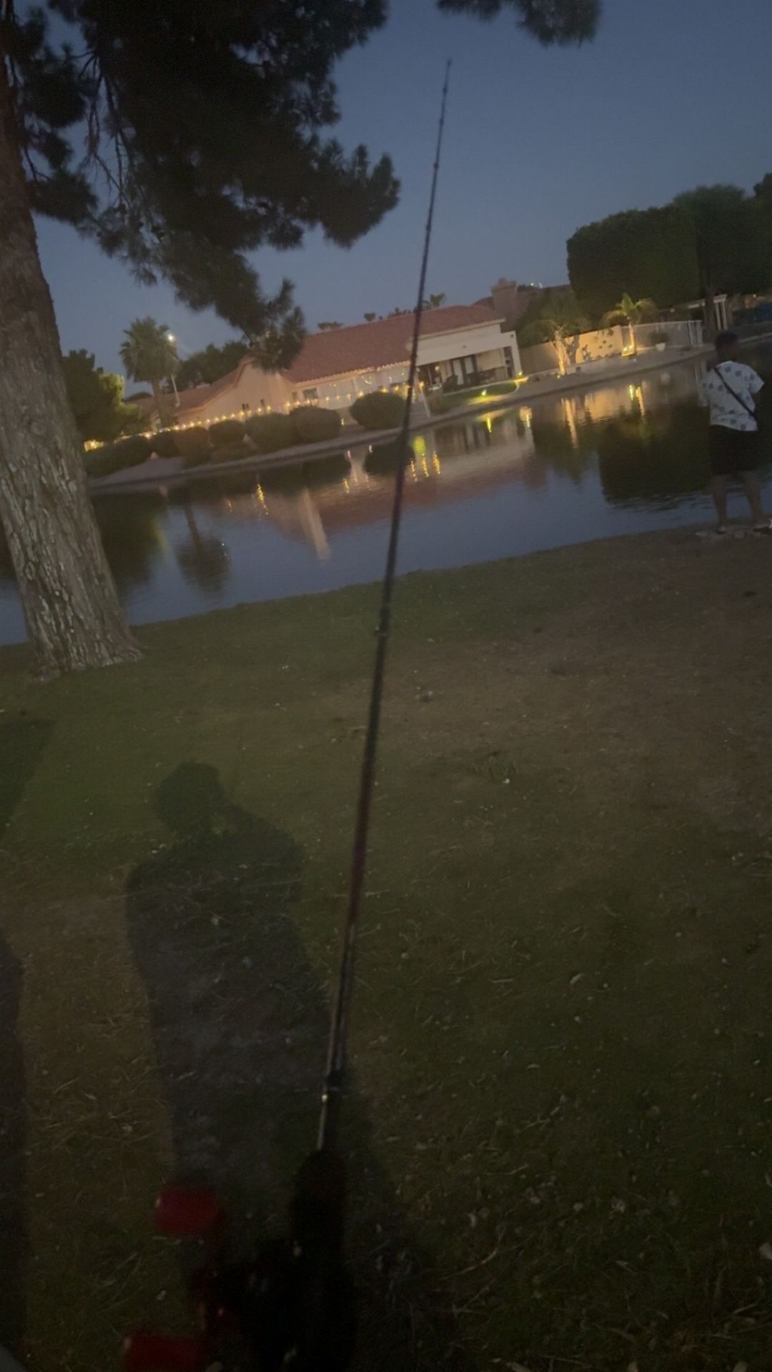 Abu Garcia Rod