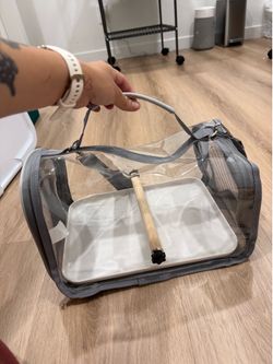 Small bird carrier