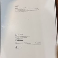 iPad Pro 13 Inch M4 WiFi 