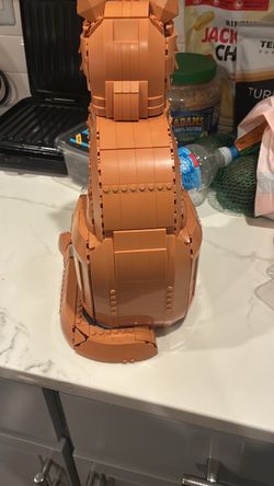 Orange cat