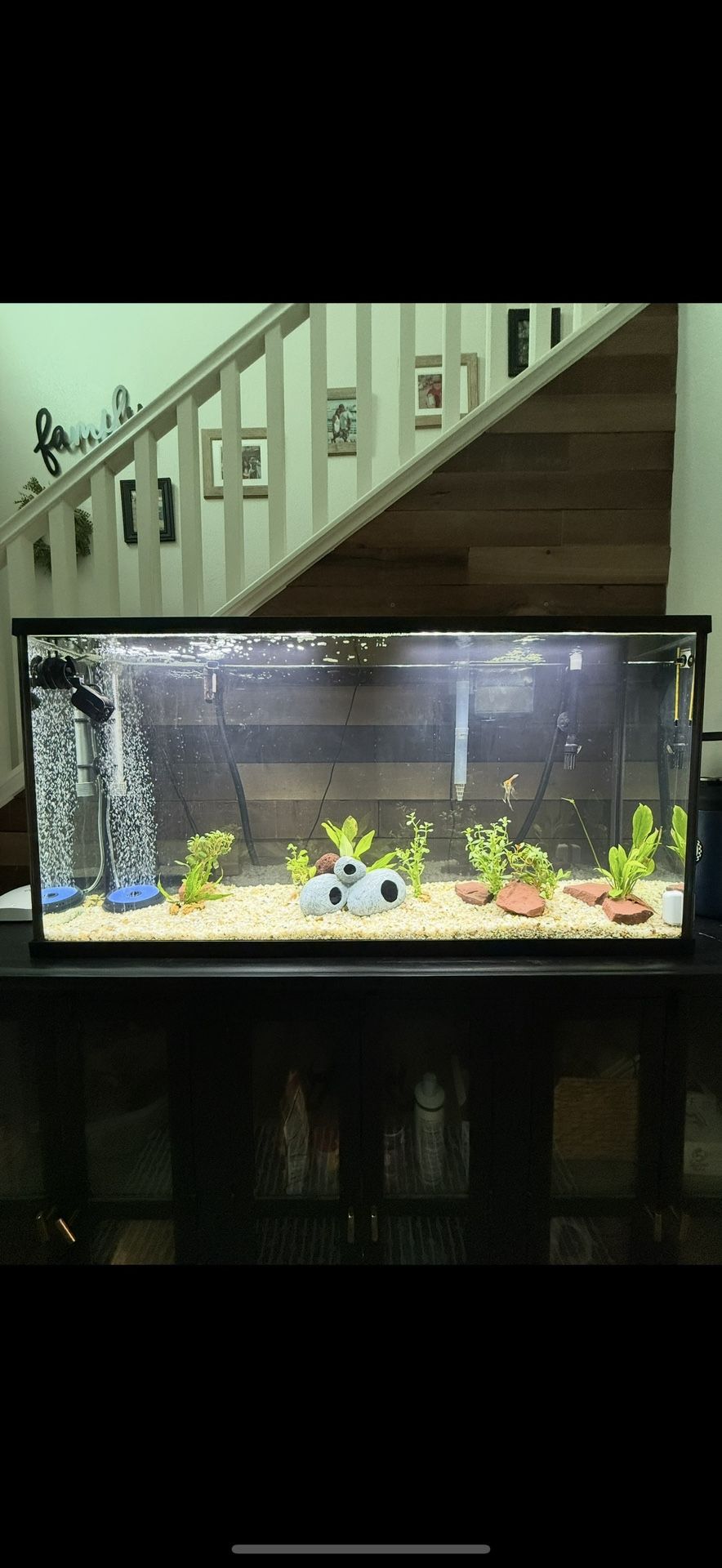 55 Gallon Aquarium 