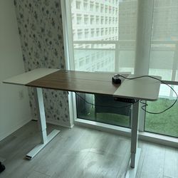 Standing Desk