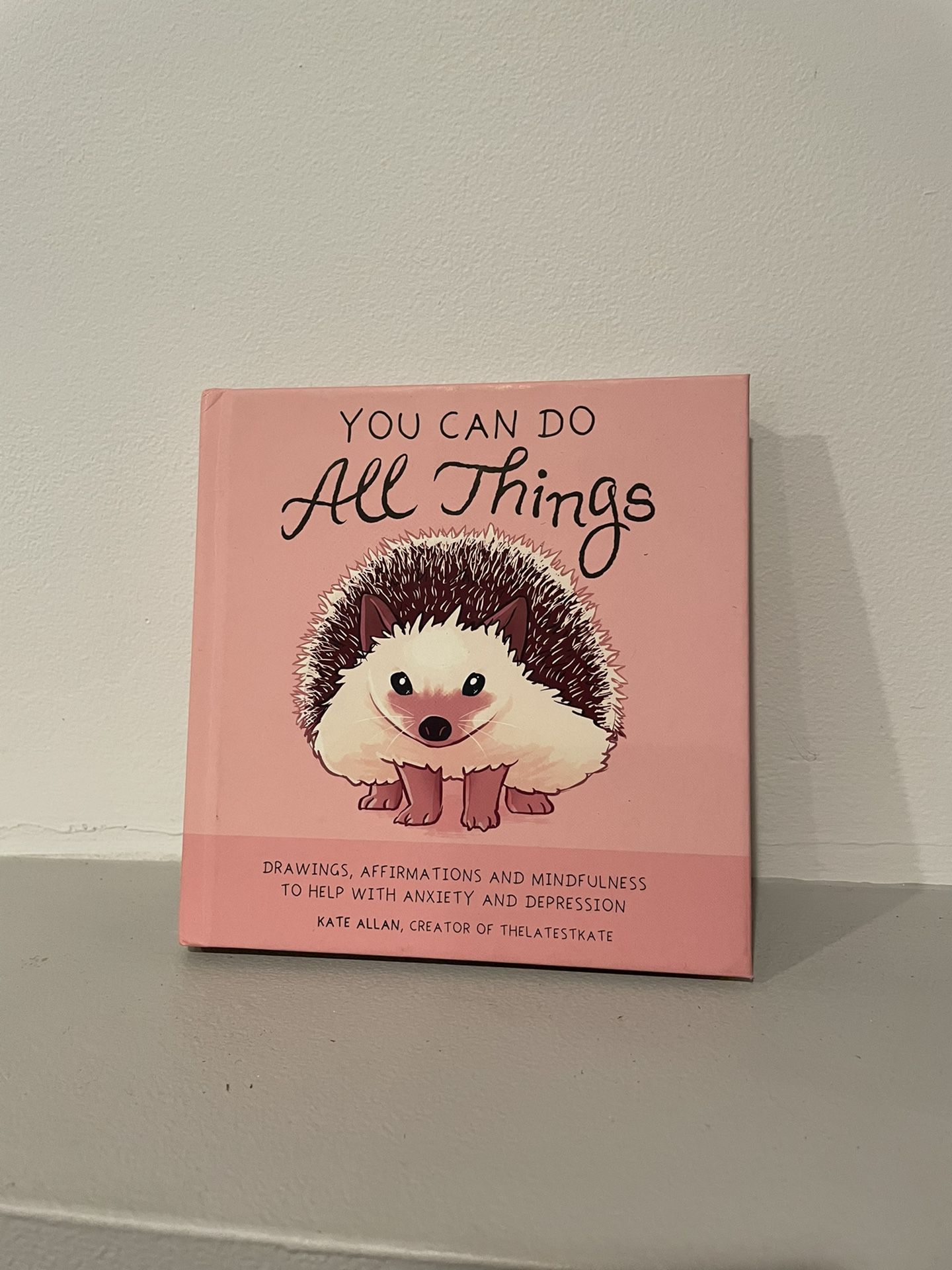 “You Can Do All Things” Book By Kate Allan