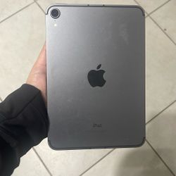 Ipad Mini 