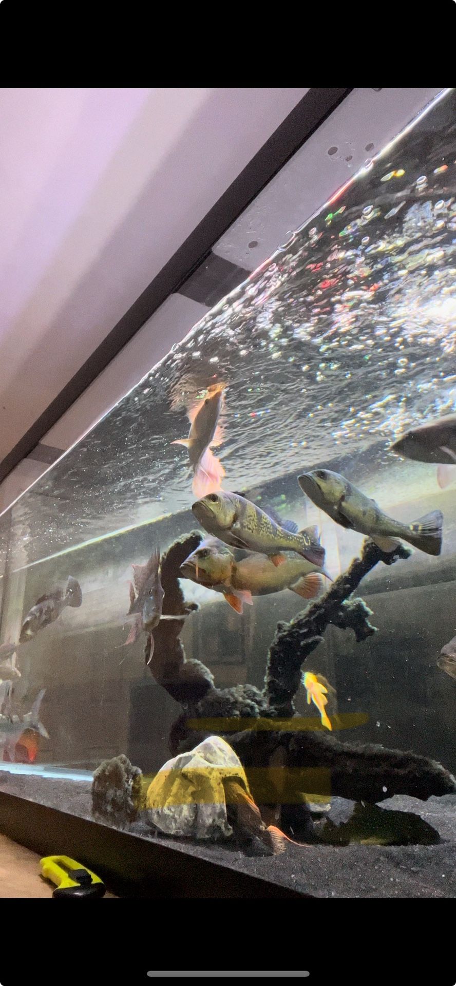 180 Tank Like New For Sale!!!!