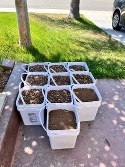 Alpaca manure (羊驼粪肥)$10  by bucket