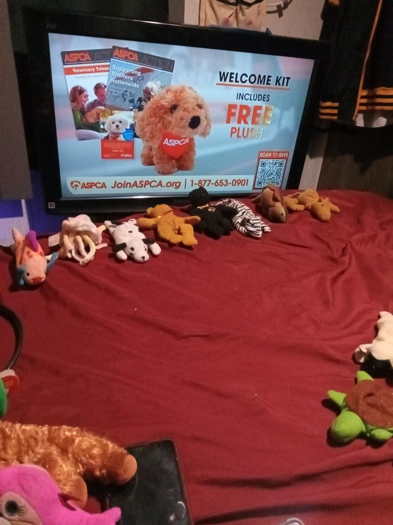 1999 Beanie Baby Lot