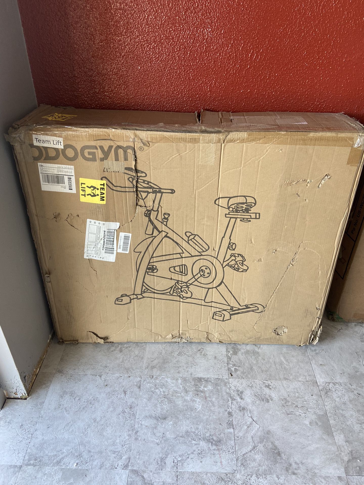 Exercise Bike