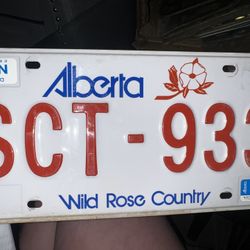 Antique License Plates 