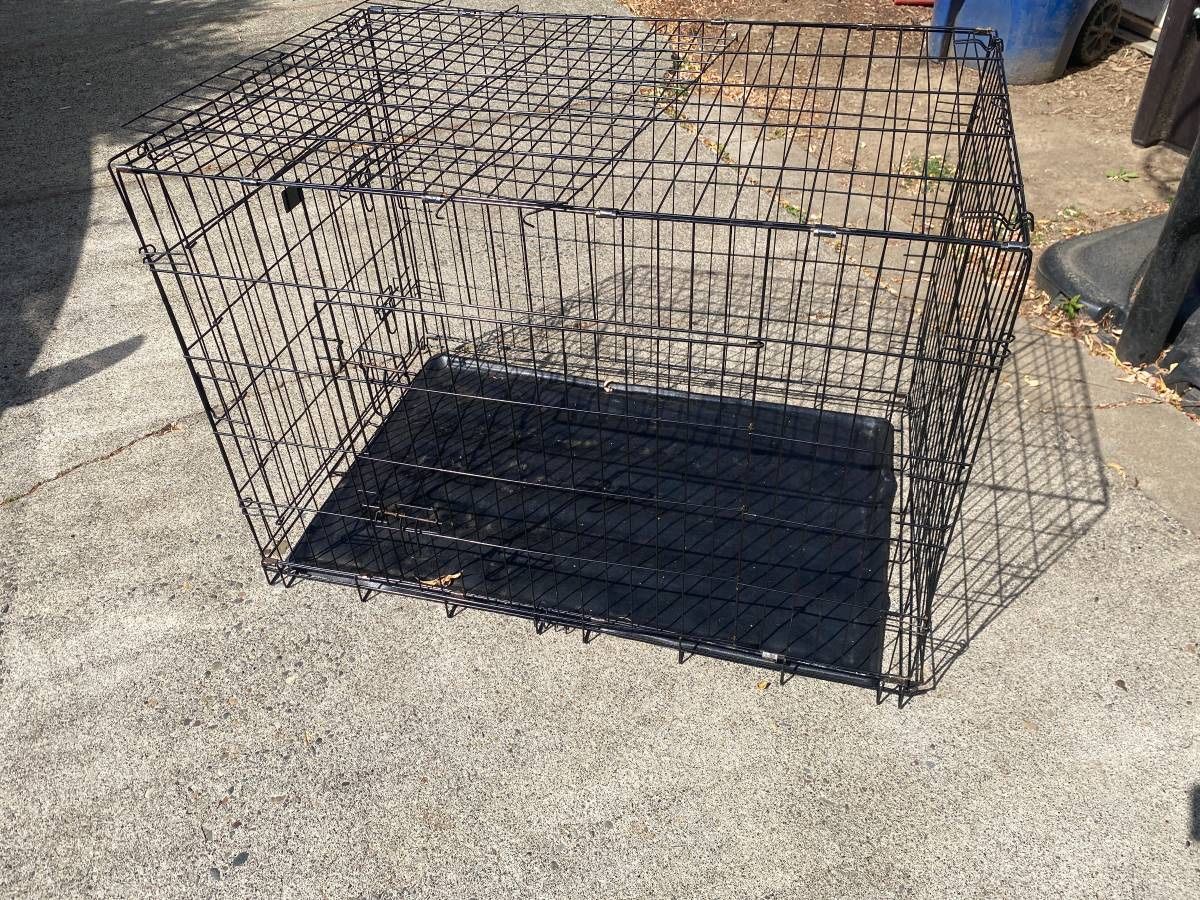 Dog Crate For Large Dog