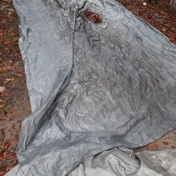 Tarp 