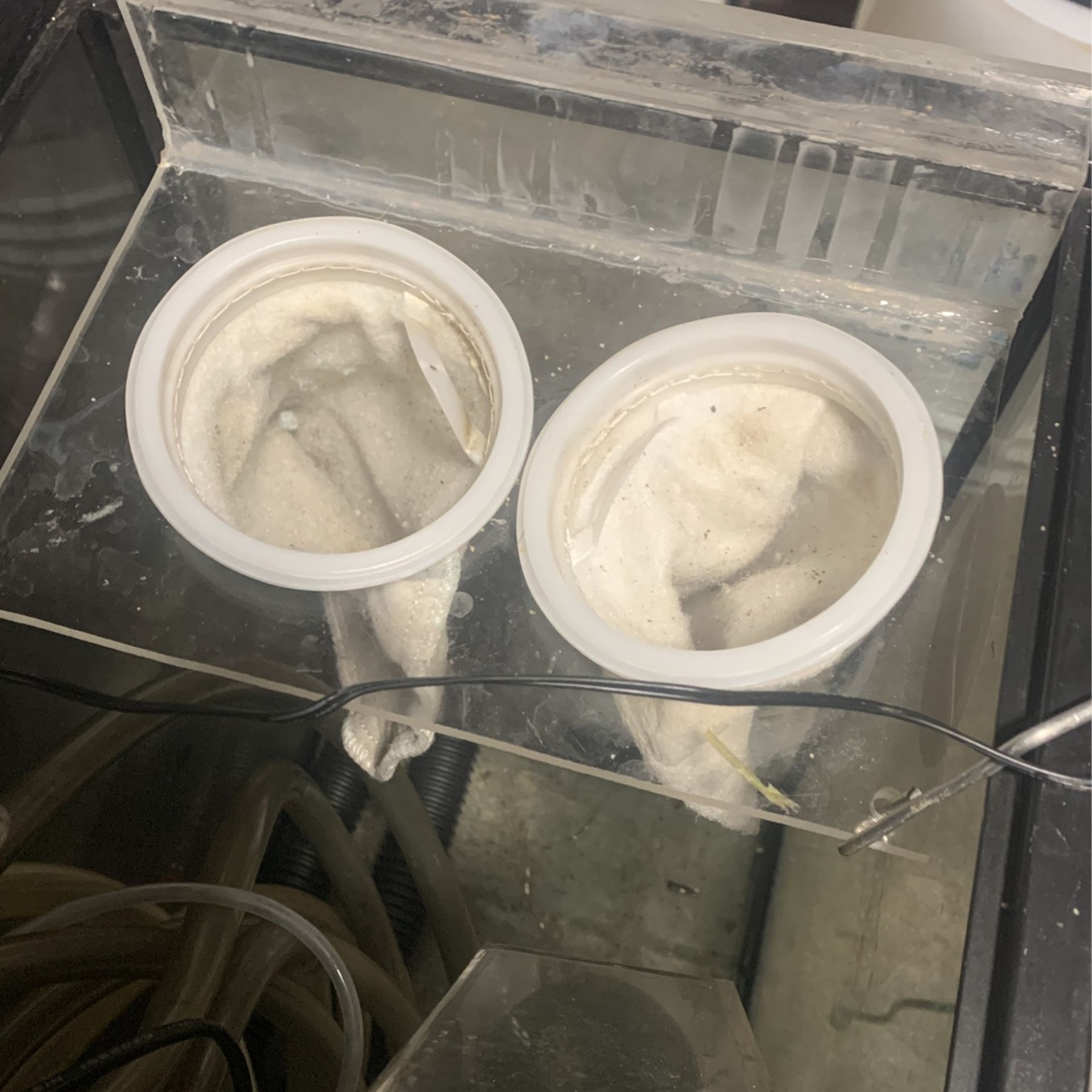 Aquarium Sump With Overflow