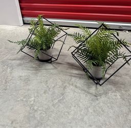 Artificial Plant