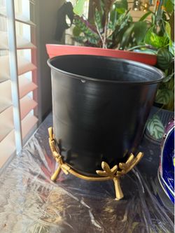 Metallic black plant pot with gold legs stand