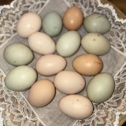 Eggs