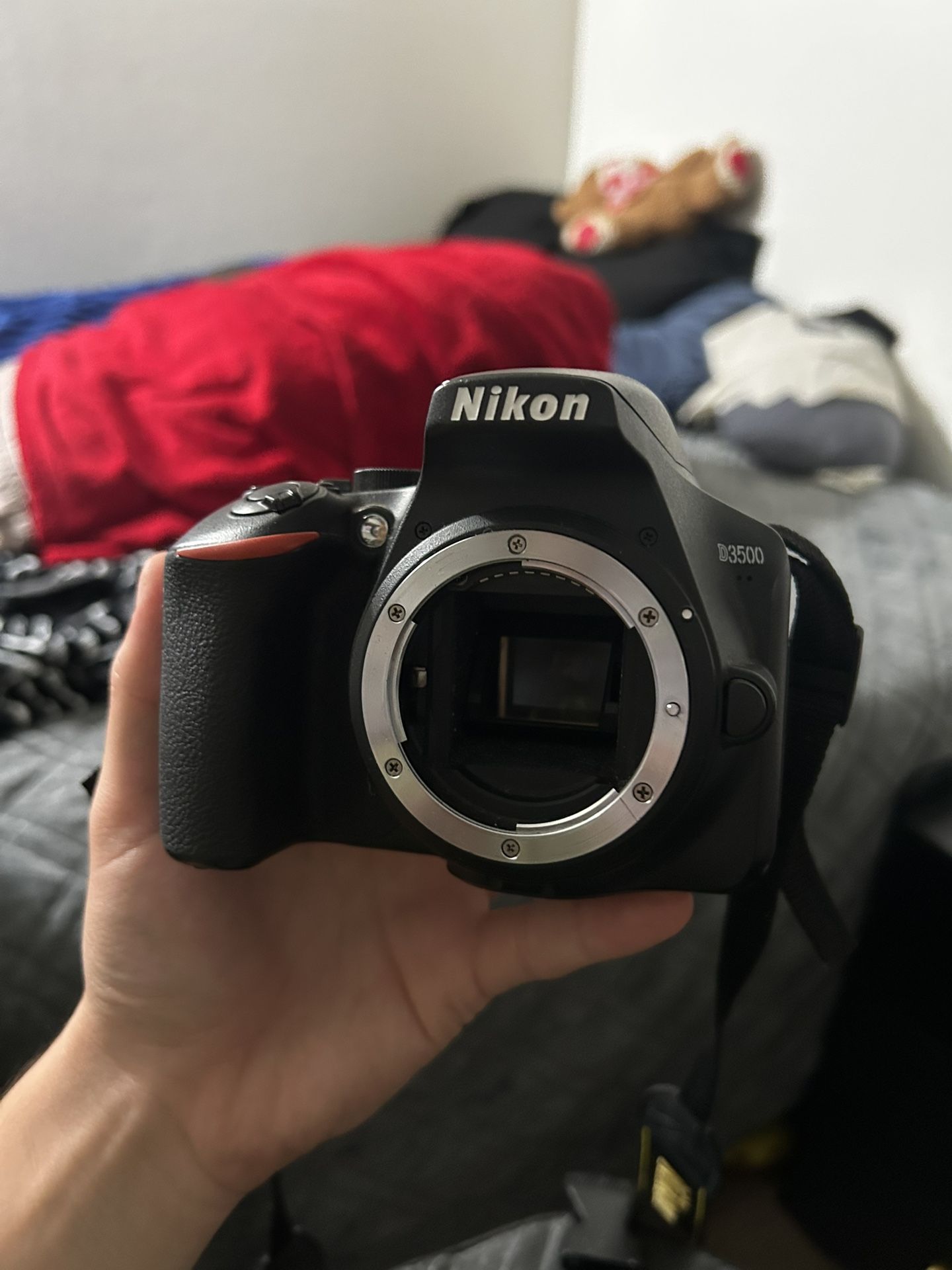 Nikon D3500 Plus Accessories