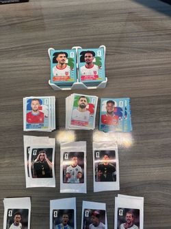 FIFA World Cup Panini Stickers