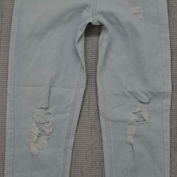 Blue Jean's  Wild Fable