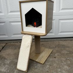 Cat Tree and Scratcher