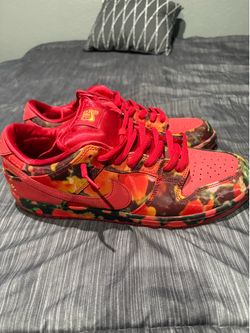 Nike SB