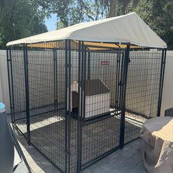 Outdoor Dog kennel 8x8 Feet