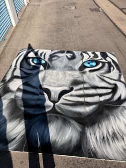 White Siberian Tiger 81 sqf painting ensemble