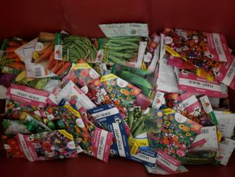 Planting Seeds, Vegetables Herbs Flowers