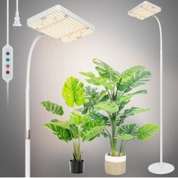 floor lamp  grow  light 