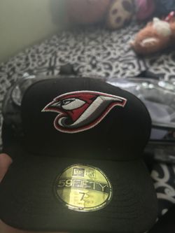 BLUE JAYS FITTED