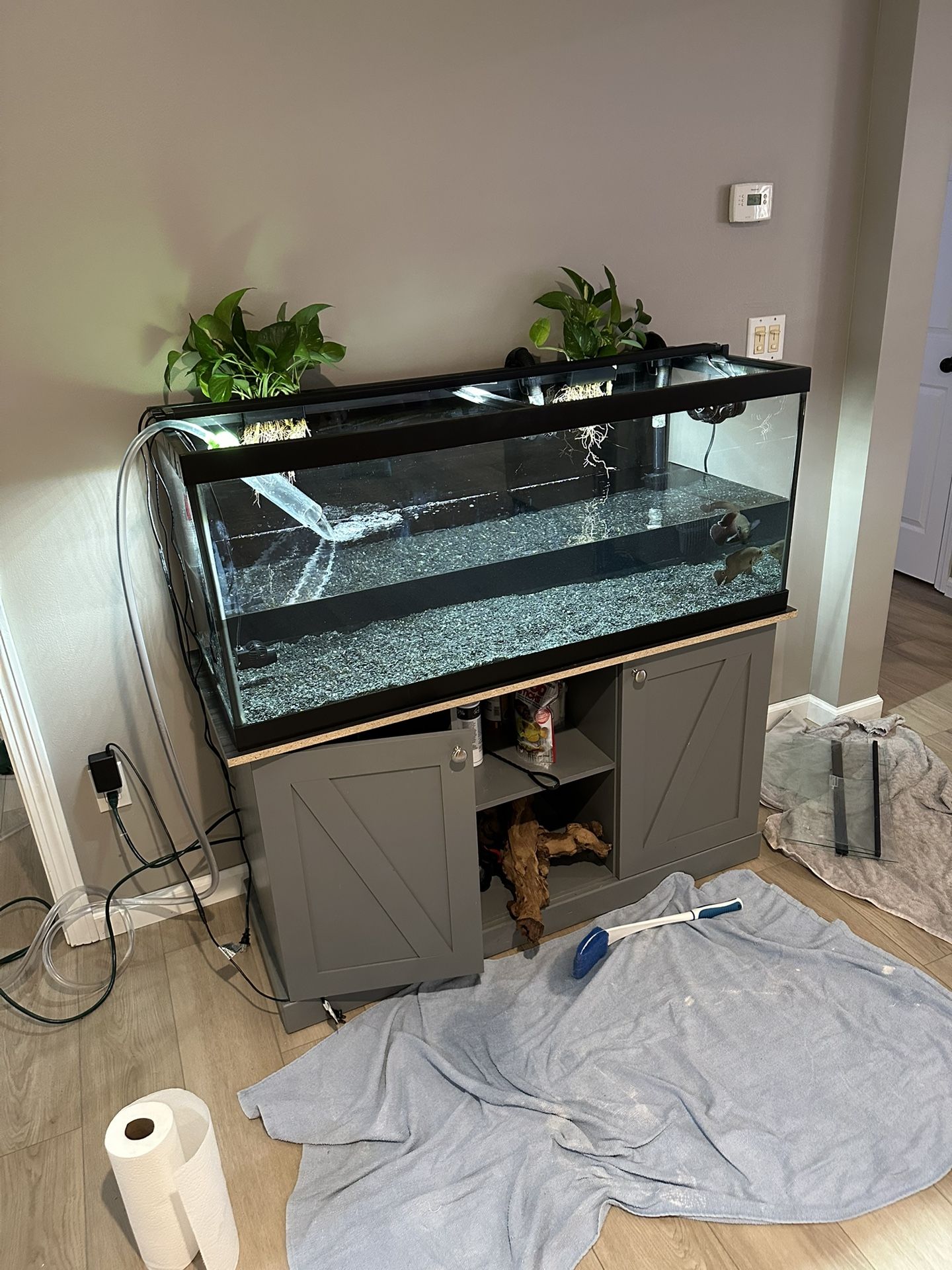 Fish Tank 