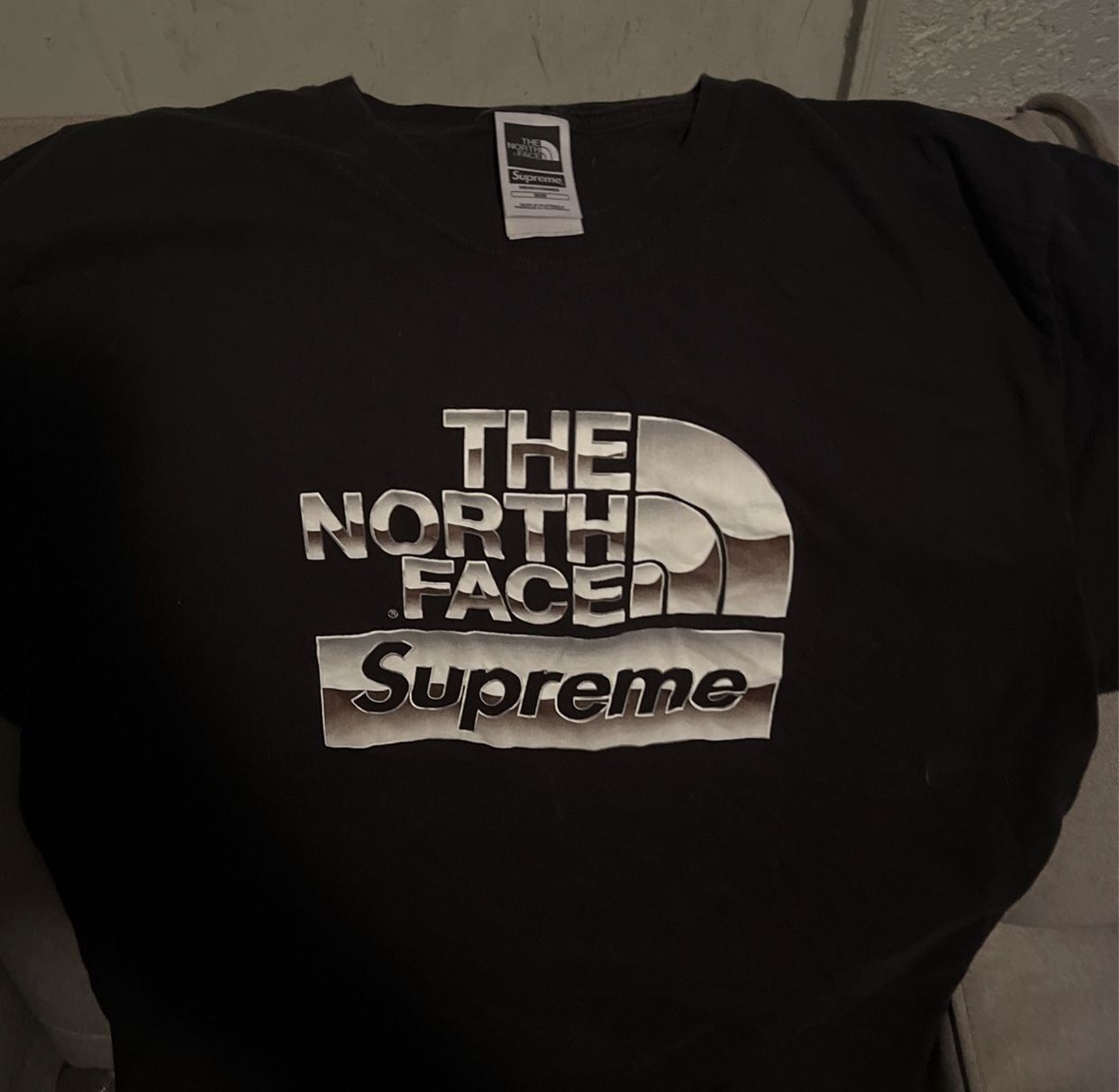 Supreme The North Face Metallic Logo T-shirt