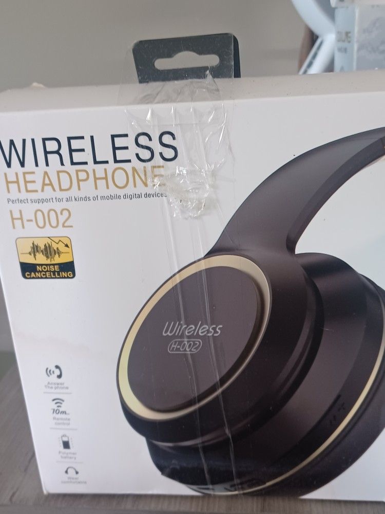 Earphones