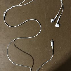 Type-C Earbuds 