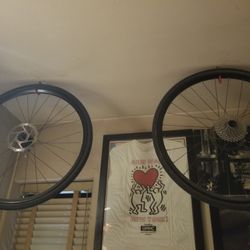 Bicycle Rims