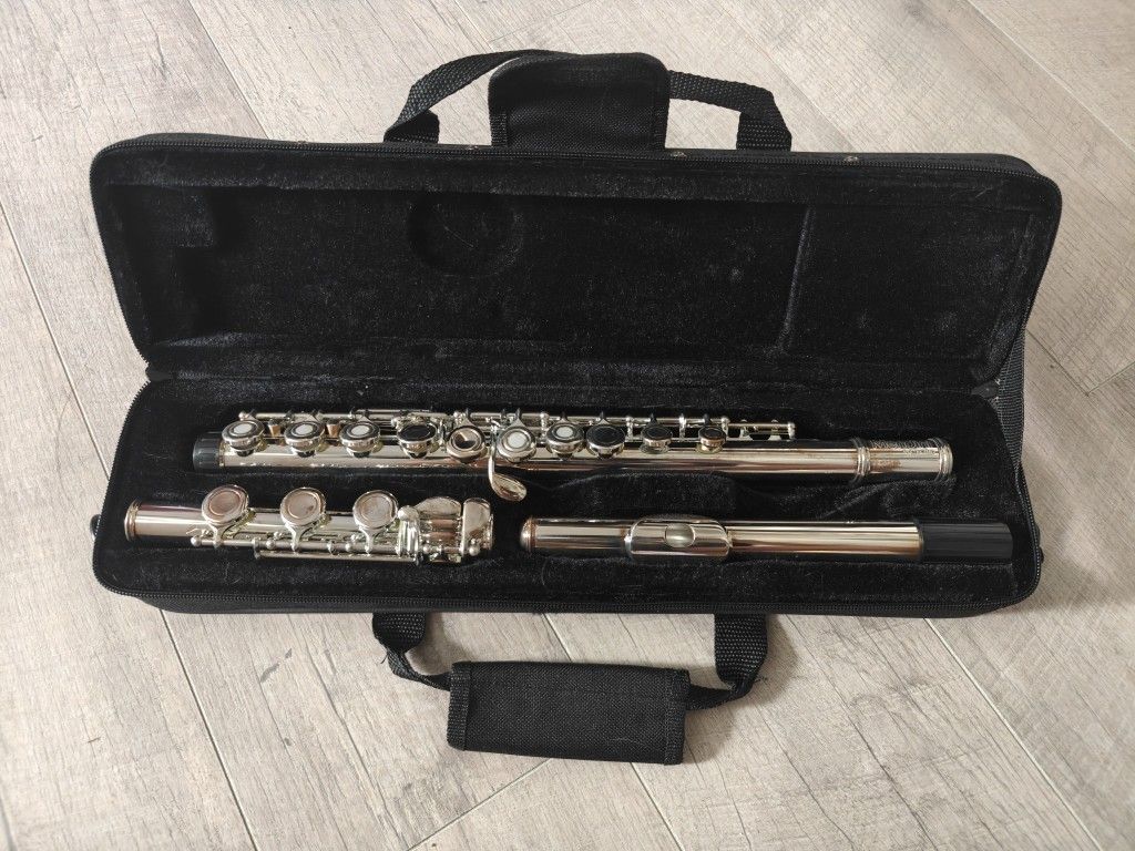 USED - Mendini Flute 50$